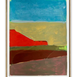 nº5